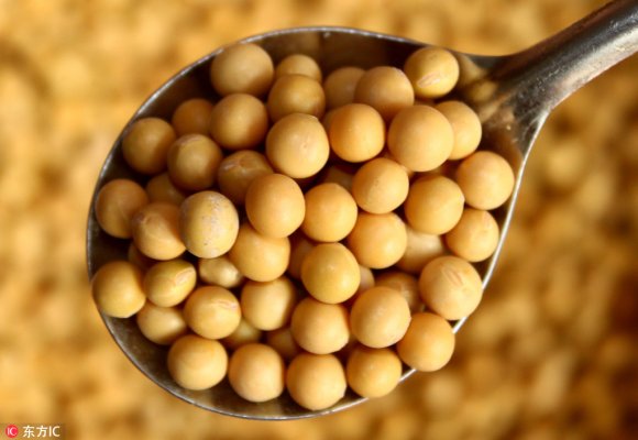 Soybean trade faces good prospects if disputes settled