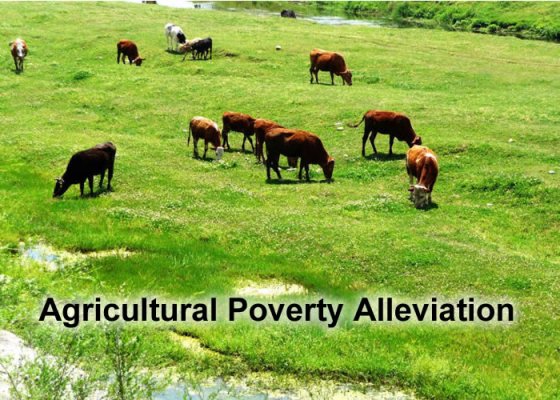 Poverty alleviation area