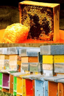 Honey Import in China